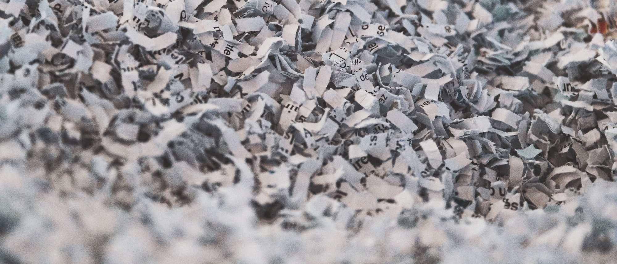 sigmund-jZXZvw2CdqY-unsplash-1 sigmund-jZXZvw2CdqY-unsplash-1